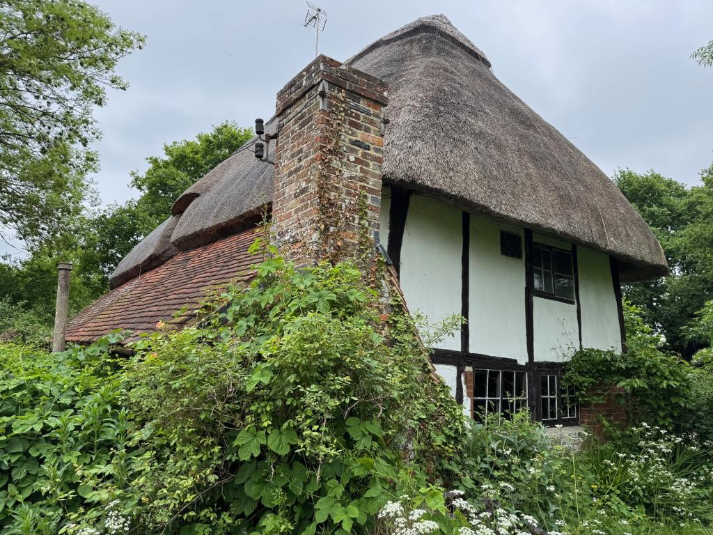 Lot: 134 - DETACHED THATCHED COTTAGE ON ALMOST TWO ACRE PLOT WITH DETACHED THATCHED OUTBUILDING - Alternative view of property
